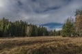 Meadow with dry grass after summer near Jezerni creek in autumn cloudy day Royalty Free Stock Photo