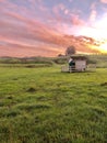 Meadow Royalty Free Stock Photo