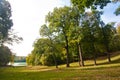 Meadow in English park