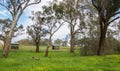 Meadow and Farmland Royalty Free Stock Photo