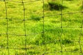 Meadow fence