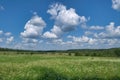 Meadow with field grasses against a background of blue sky and white clouds. Summer field against the blue sky Royalty Free Stock Photo
