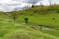 Meadow field and small river in Zavet town Royalty Free Stock Photo