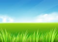 Meadow field. Summer or spring nature background with green grass landscape