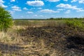 Meadow after the fire. Field edge damaged by fire