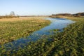 Meadow flooded with water Royalty Free Stock Photo