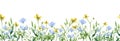 Meadow floral botanical seamless border design.Horizontal herbal banners on white background for wedding invitation
