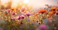 meadow flower sunset nature field violet background pink beautiful cosmos blooming. Generative AI. Royalty Free Stock Photo