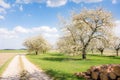 Meadow with flowering fruit trees Royalty Free Stock Photo