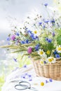 Meadow flowers bouquet in wicker basket on white tablecloth on nature background outdoors, still life with vivid wild flowers Royalty Free Stock Photo