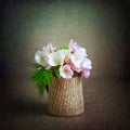 Meadow flowers. Bouquet of wild flowers in a vase on a dark orange background. Still life with water drops Royalty Free Stock Photo