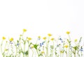 Meadow flowers with field buttercups and pansies isolated on white background. Royalty Free Stock Photo