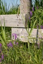 Meadow flowers and green grass near wooden fence with blurred background. Countryside summer and spring nature Royalty Free Stock Photo