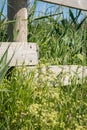 Meadow flowers and green grass near wooden fence with blurred background. Countryside summer and spring nature Royalty Free Stock Photo