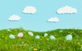 Meadow with flowers and hidden easter eggs