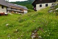 Meadow with flowers and mountain lodge at Lipanca Royalty Free Stock Photo