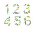Meadow flowers numbers set. Numerals made of delicate flowers and green leaves cartoon vector illustration
