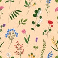 Meadow flowers pattern. Seamless floral background, blooming field plants. Repeating print, delicate spring, summer Royalty Free Stock Photo