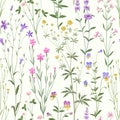 Meadow flowers pattern on white background