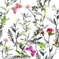 Meadow flowers. Seamless herbal background in black-white colors. Watercolor Royalty Free Stock Photo