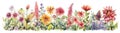 meadow flowers, watecolor banner illustration isolated on white, AI generative image