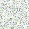 Meadow flowers on white background