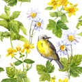 Meadow flowers, wild grass, bird. Floral repeating pattern. Watercolour