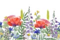 Meadow flowers, wild herbs, leaves. Red poppies. Seamless pattern floral watercolor Royalty Free Stock Photo