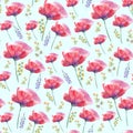Meadow flowers, wild herbs, leaves, red poppies. summer time. Seamless floral watercolor Royalty Free Stock Photo