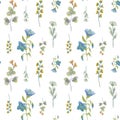 Meadow flowers, wild herbs, leaves. Seamless pattern floral watercolor Royalty Free Stock Photo