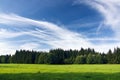 Meadow, forest and blue sky