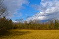 Meadow at the forest edge at Kras, Primorska, Slovenia