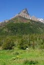 Meadow, forest and mountain