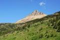 Meadow, forest and mountain