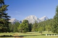 Meadow, Forest, And Mountain Royalty Free Stock Photo