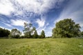 Meadow and forest in sunny summer day Royalty Free Stock Photo