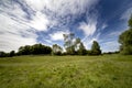 Meadow and forest in sunny summer day Royalty Free Stock Photo