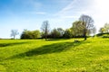 Meadow with fresh green grass and tree. Resting people near the tree. Summer, blue sky and nice sun. Royalty Free Stock Photo