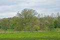 meadow with fresh green spring trees in the flemish countryside