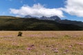 Meadow in front of the Ruminahui volcano, Ecuador Royalty Free Stock Photo