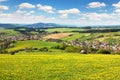 Meadow ful of dandelions and beautiful clouds