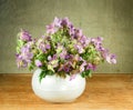 Meadow geranium. Still life. Bouquet of meadow flowers Royalty Free Stock Photo