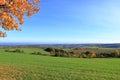 Meadow with grass and big autumn trees against blue sky in saxon switzerland