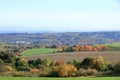 Meadow with grass and big autumn trees against blue sky in saxon switzerland