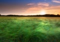 Meadow, grass and countryside sunset in summer evening or farm field agriculture or outdoor, environmental or rural Royalty Free Stock Photo