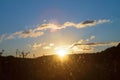 Meadow grass in a hilly forest valley in the rays of the sun on a sunset background. Russian wildlife nature landscape Royalty Free Stock Photo