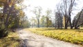 Meadow with grass with hoarfrost in park on a sunny autumn morning. Royalty Free Stock Photo