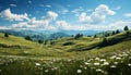 Meadow grass, landscape outdoors, mountain summer, rural scene generated by AI Royalty Free Stock Photo