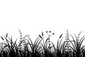 Meadow grass silhouette