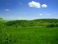 Meadow grass and sky